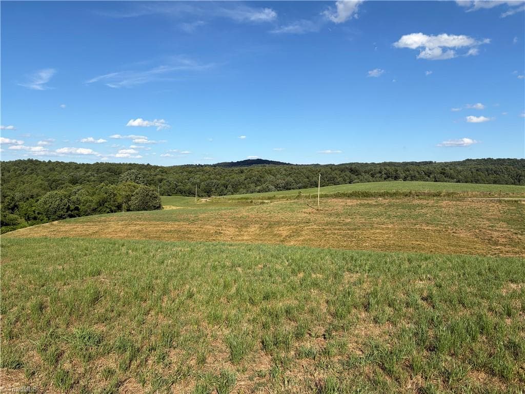 Unimproved Land at 1779 Round Hill Church Road, Traphill NC 28685, photo 31 of 49