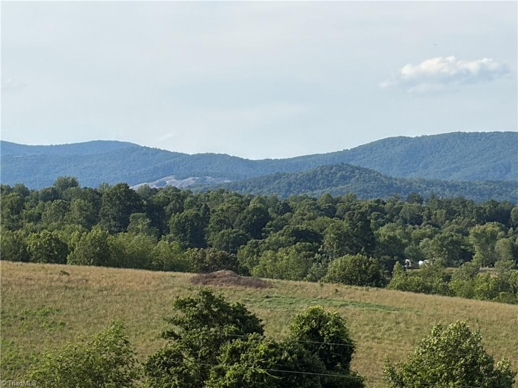 Unimproved Land at 1779 Round Hill Church Road, Traphill NC 28685, photo 25 of 49