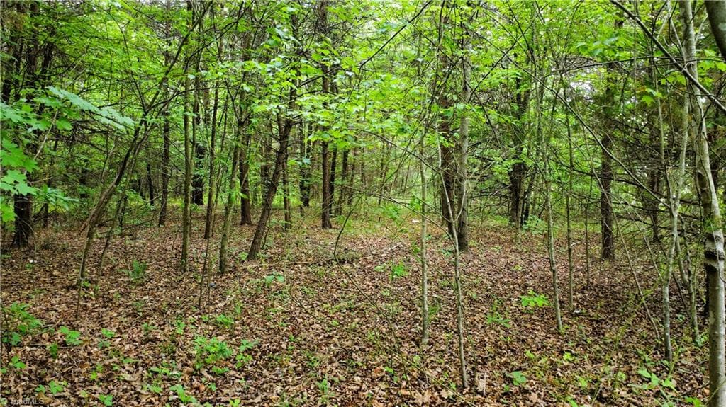 Agriculture at 0 Eden Road, Stoneville NC 27048, photo 11 of 14
