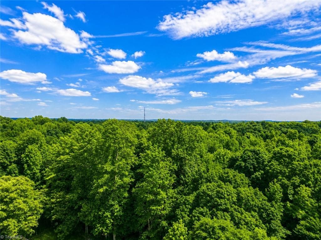 Unimproved Land at 0 Rich Hilton Road, Thomasville NC 27360, Thomasville, photo 23 of 24