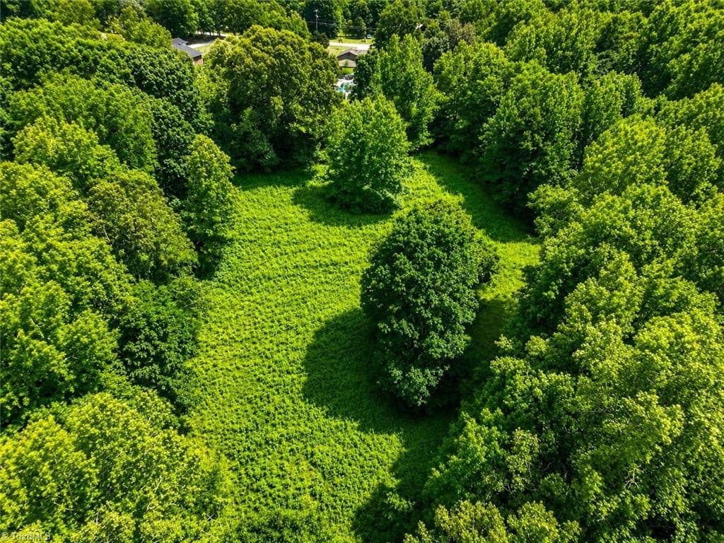 Unimproved Land at 0 Rich Hilton Road, Thomasville NC 27360, Thomasville, photo 20 of 24