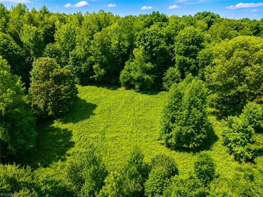 Unimproved Land at 0 Rich Hilton Road, Thomasville NC 27360, Thomasville, photo 18 of 24