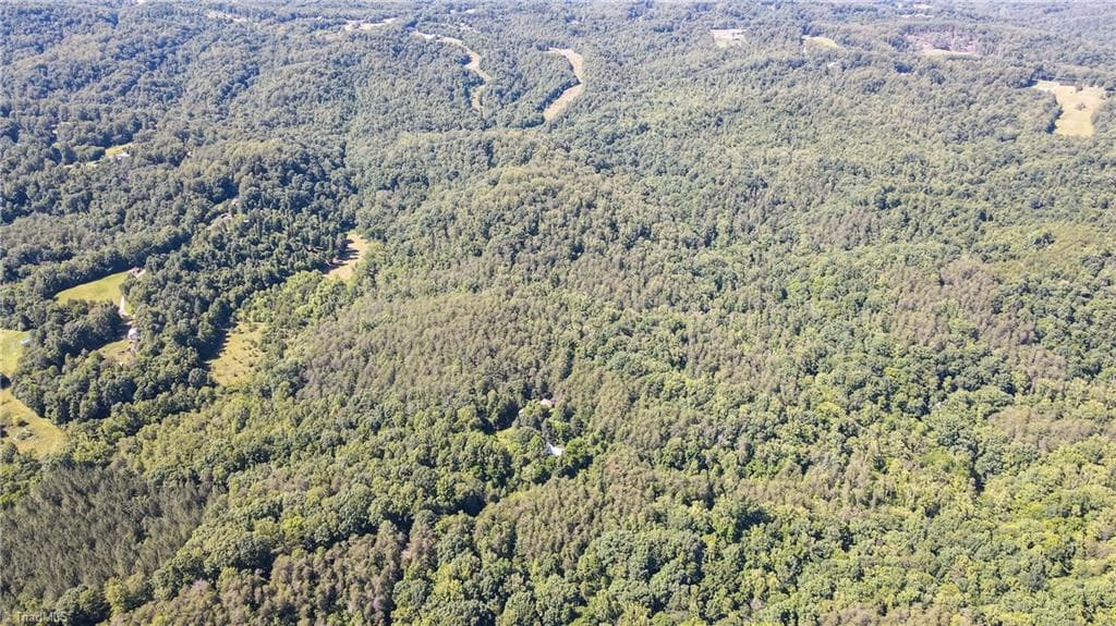 Remarks at 1215 Lucius Beasley Road, Westfield NC 27053, photo 6 of 26