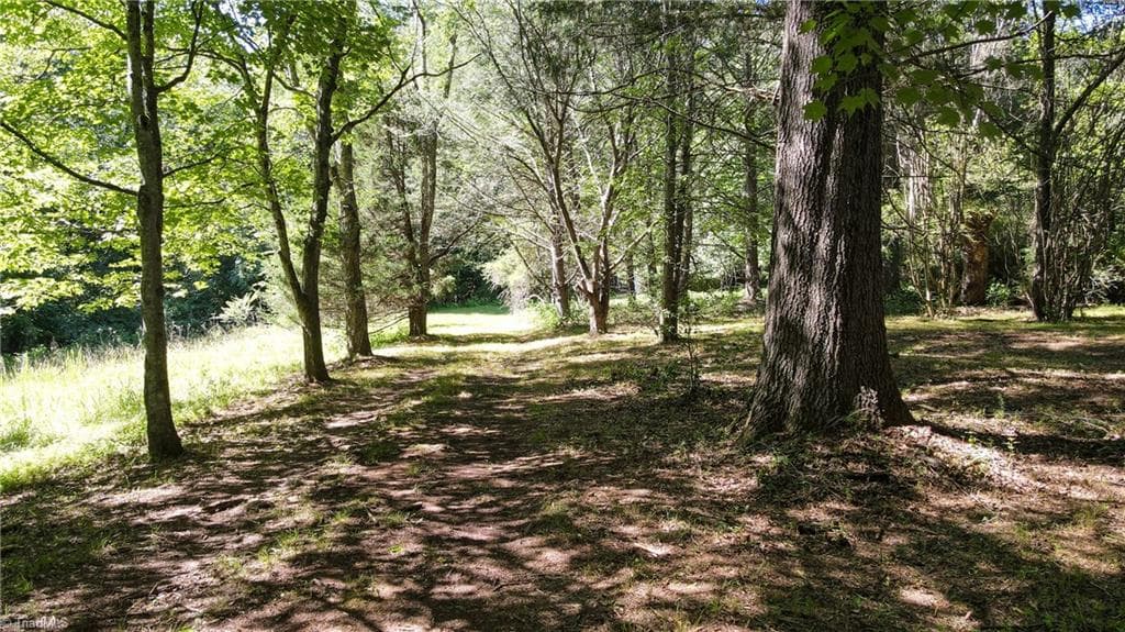 Remarks at 1215 Lucius Beasley Road, Westfield NC 27053, photo 16 of 26