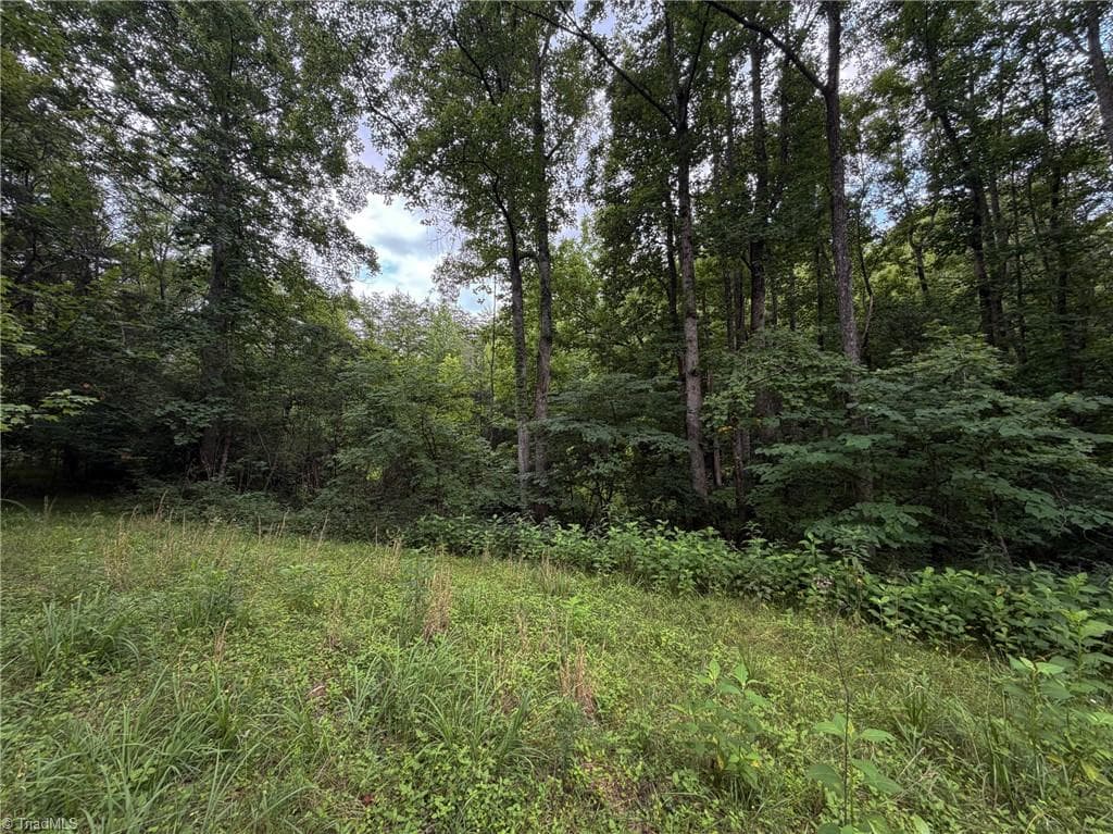 Remarks at 1215 Lucius Beasley Road, Westfield NC 27053, photo 26 of 26