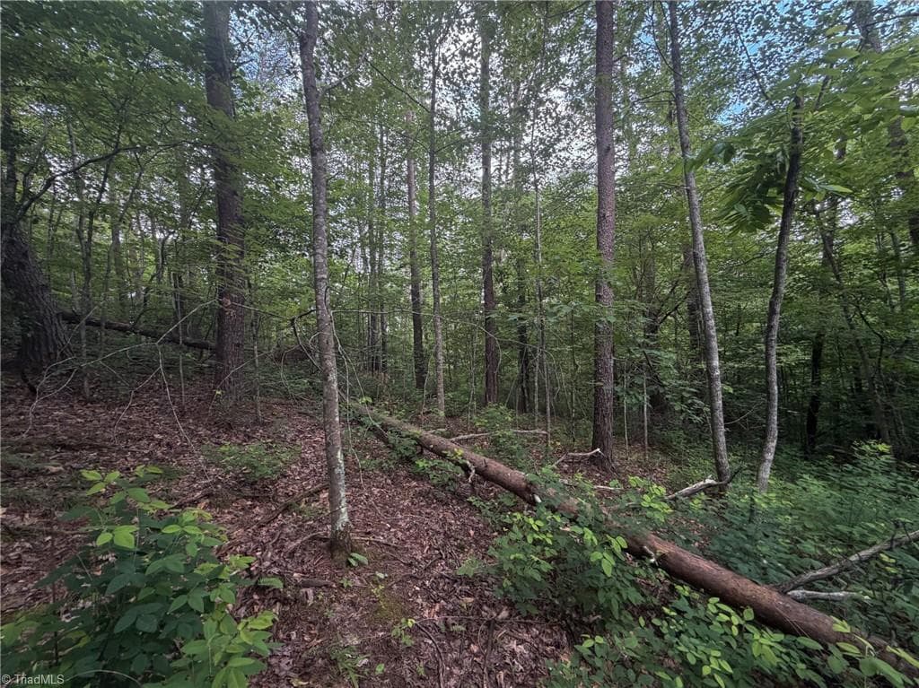 Remarks at 1215 Lucius Beasley Road, Westfield NC 27053, photo 22 of 26