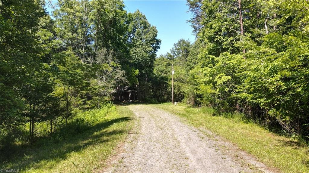 1215 Lucius Beasley Road, Westfield NC 27053