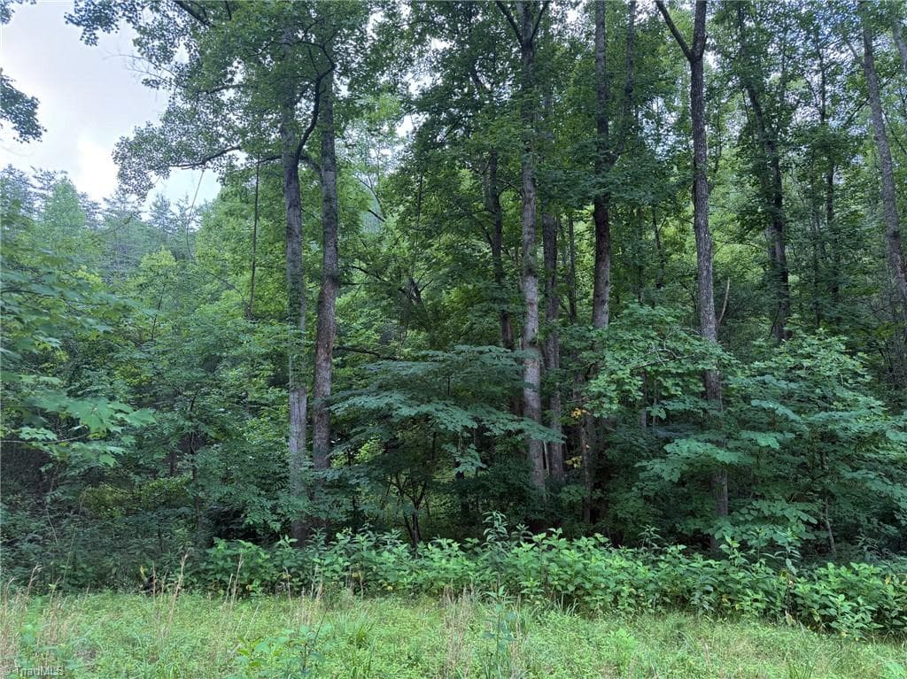 Remarks at 1215 Lucius Beasley Road, Westfield NC 27053, photo 24 of 26