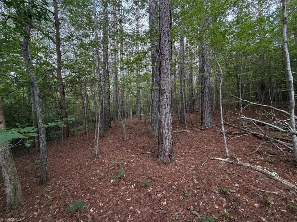 Remarks at 1215 Lucius Beasley Road, Westfield NC 27053, photo 18 of 26