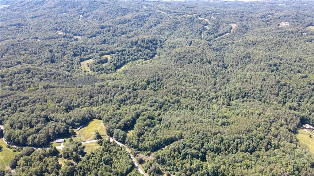 Remarks at 1215 Lucius Beasley Road, Westfield NC 27053, photo 8 of 26