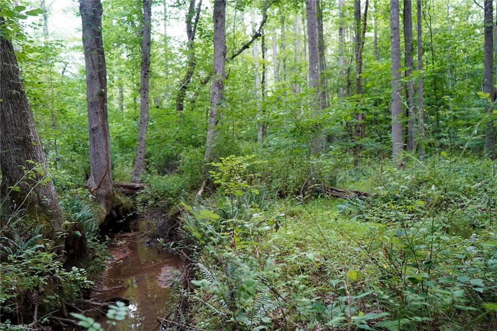 Unimproved Land at 220 Austin Lane, Stokesdale NC 27357, photo 7 of 12
