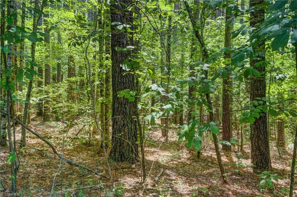 Unimproved Land at 00 Garrett Road, Stoneville NC 27048, photo 12 of 15