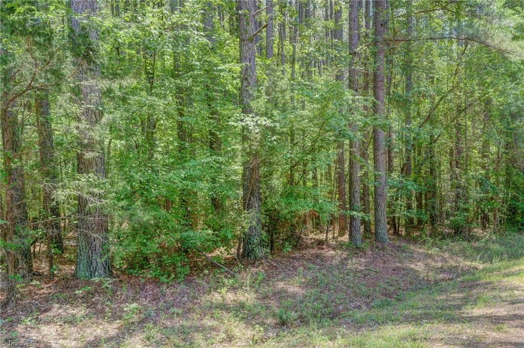 Unimproved Land at 00 Garrett Road, Stoneville NC 27048, photo 11 of 15