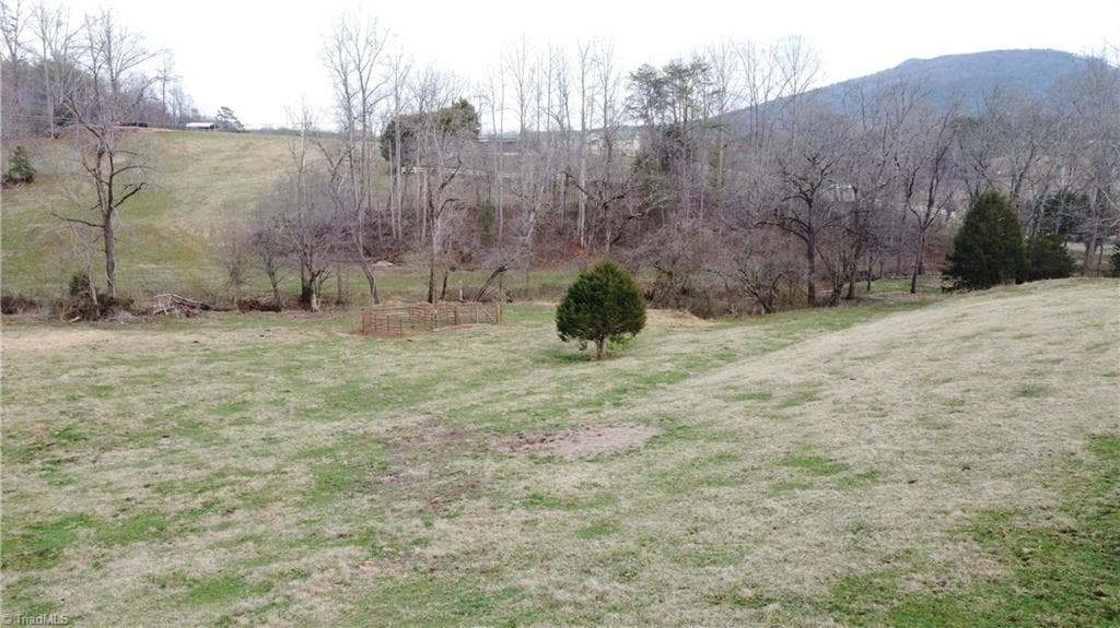 Single Family Residence at 00 Jim McKinney Road, Pinnacle NC 27043, photo 18 of 21