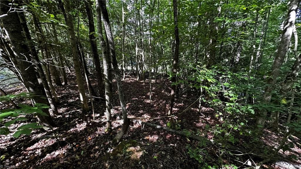Single Family Residence at 00A Higgins Road, Wilkesboro NC 28697, photo 7 of 12