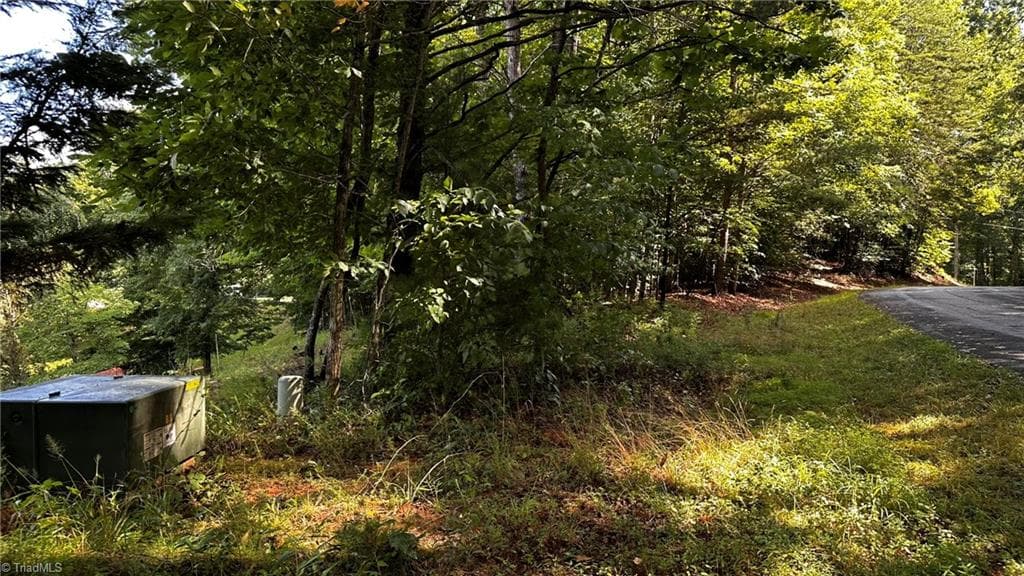Single Family Residence at 00A Higgins Road, Wilkesboro NC 28697, photo 3 of 12
