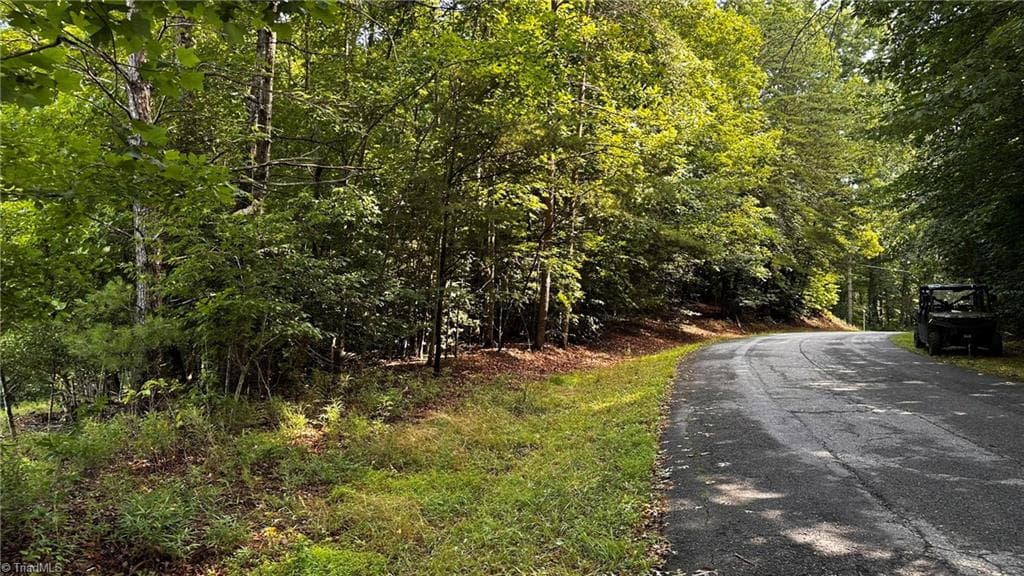 Single Family Residence at 00A Higgins Road, Wilkesboro NC 28697, photo 5 of 12