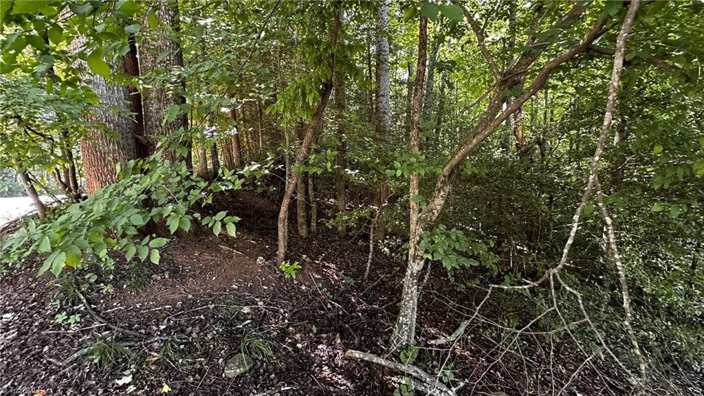 Single Family Residence at 00A Higgins Road, Wilkesboro NC 28697, photo 11 of 12