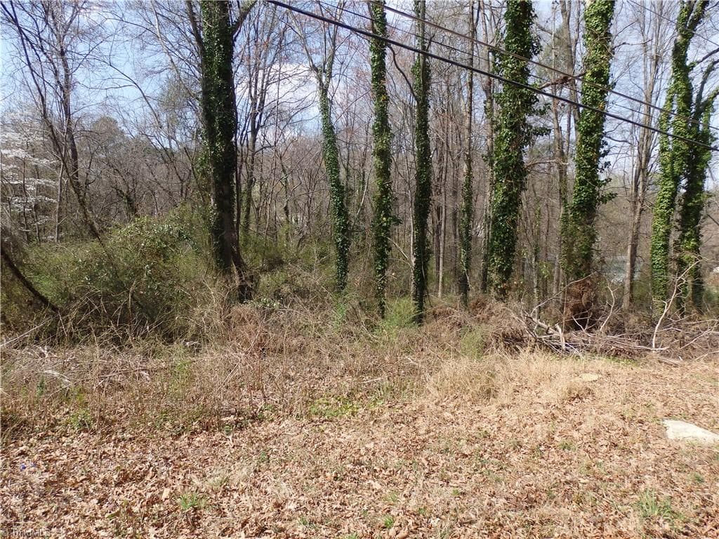 Unimproved Land at 0 Chestnut Street, Asheboro NC 27203, photo 2 of 7