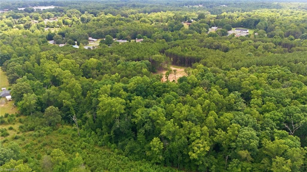 Single Family Residence at 00 Pinehaven Trail, Eden NC 27288, photo 3 of 14