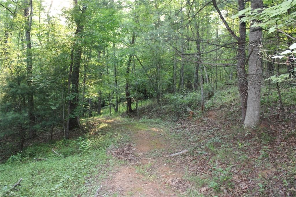Stick/Site Built at 2541 Collinstown Road, Westfield NC 27053, photo 27 of 50