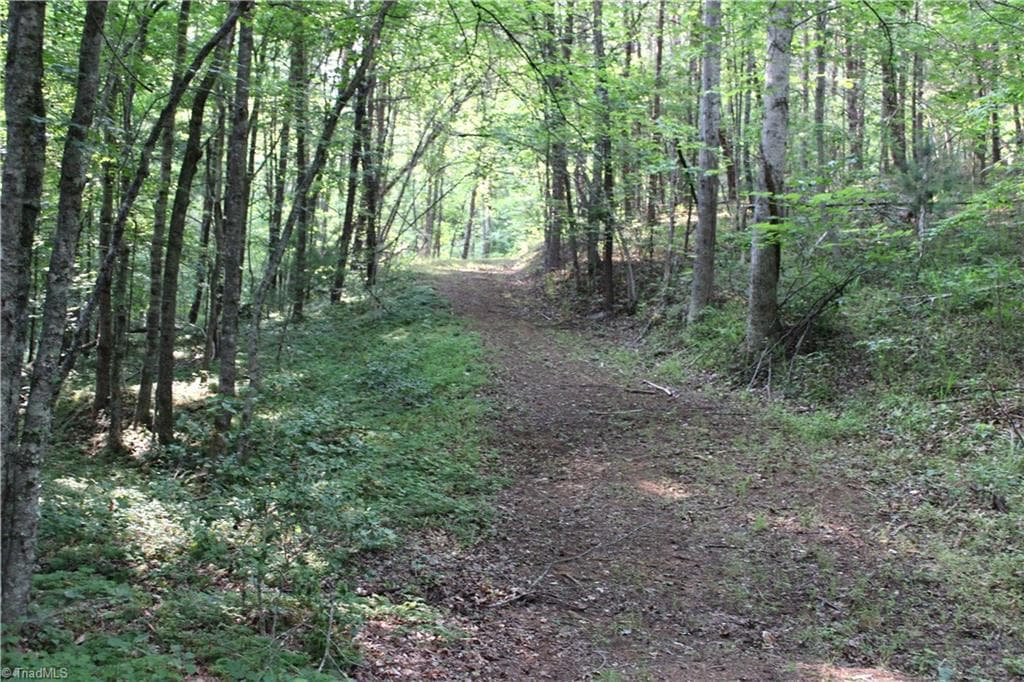 Stick/Site Built at 2541 Collinstown Road, Westfield NC 27053, photo 20 of 50