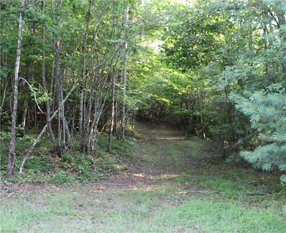 Stick/Site Built at 2541 Collinstown Road, Westfield NC 27053, photo 25 of 50