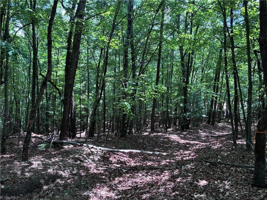 Unimproved Land at 00 Breakaway Drive, McGrady NC 28649, McGrady, photo 6 of 13