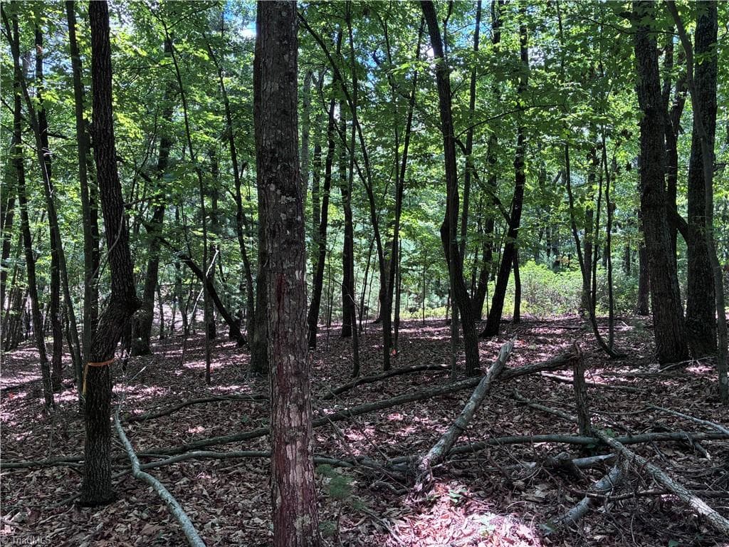 Unimproved Land at 00 Breakaway Drive, McGrady NC 28649, McGrady, photo 7 of 13
