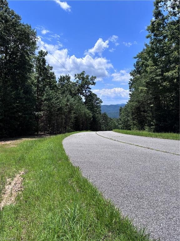 Unimproved Land at 00 Breakaway Drive, McGrady NC 28649, McGrady, photo 3 of 13