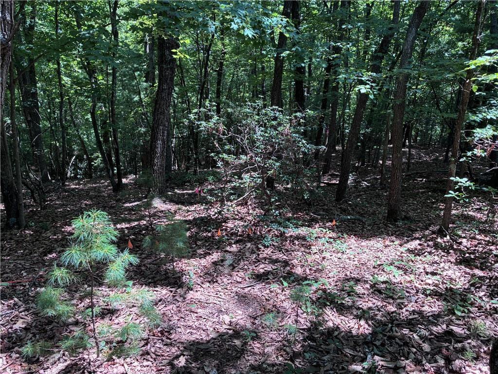 Unimproved Land at 00 Breakaway Drive, McGrady NC 28649, McGrady, photo 5 of 13