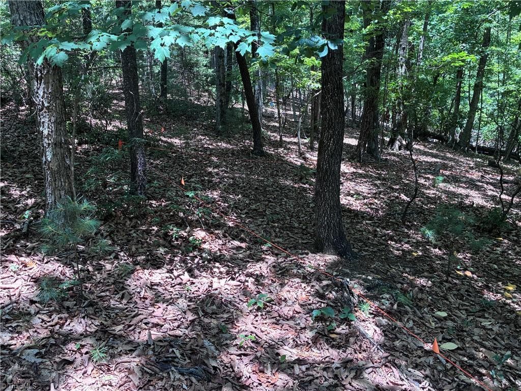 Unimproved Land at 00 Breakaway Drive, McGrady NC 28649, McGrady, photo 9 of 13