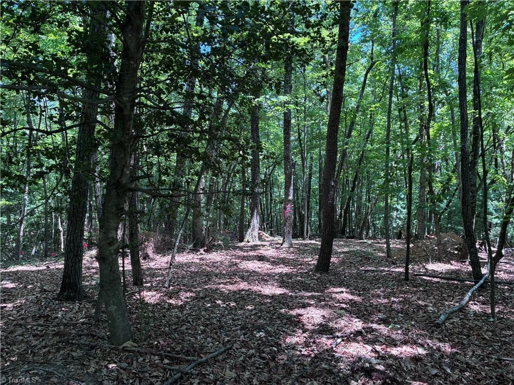 Unimproved Land at 00 Breakaway Drive, McGrady NC 28649, McGrady, photo 10 of 13