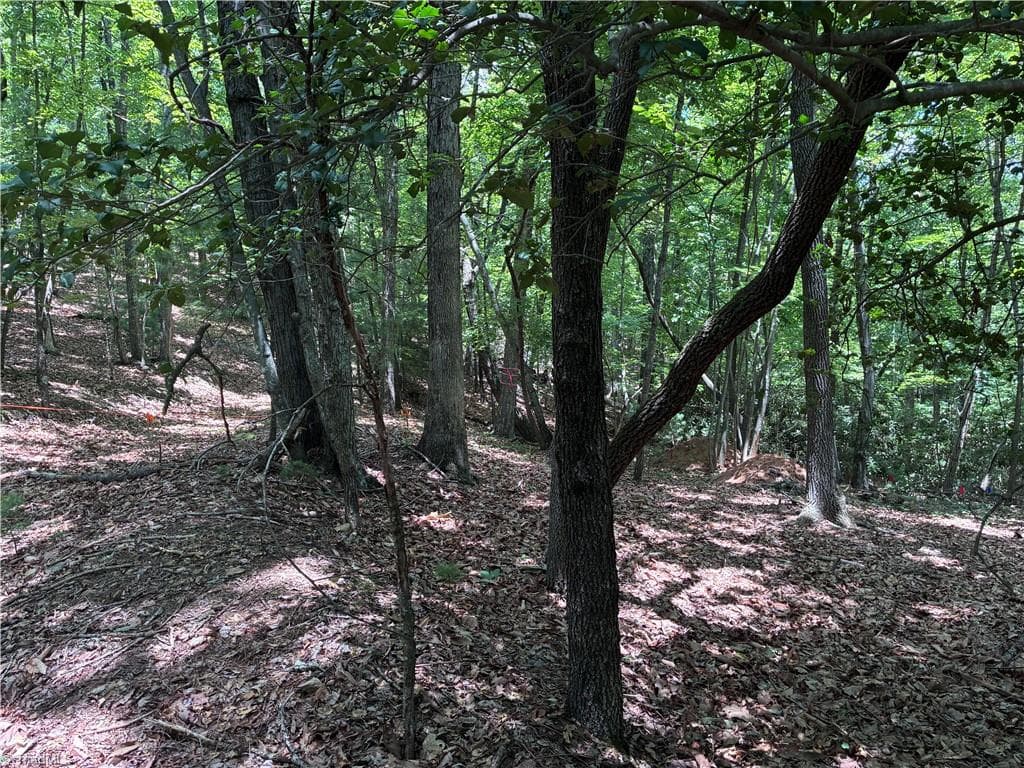 Unimproved Land at 00 Breakaway Drive, McGrady NC 28649, McGrady, photo 11 of 13