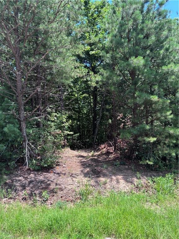 Unimproved Land at 00 Breakaway Drive, McGrady NC 28649, McGrady, photo 4 of 13