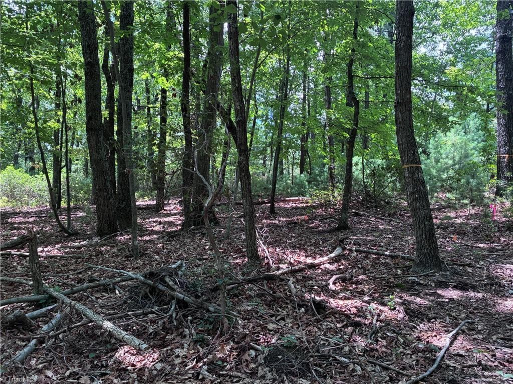 Unimproved Land at 00 Breakaway Drive, McGrady NC 28649, McGrady, photo 8 of 13