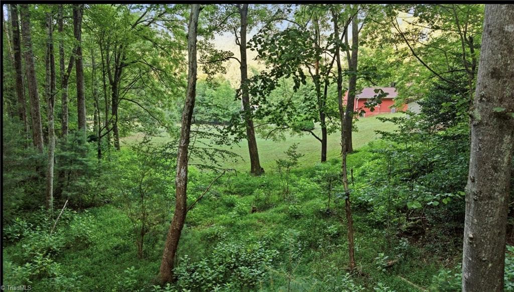 Stick/Site Built at 11526 US Highway 421, Purlear NC 28665, Purlear, photo 38 of 45