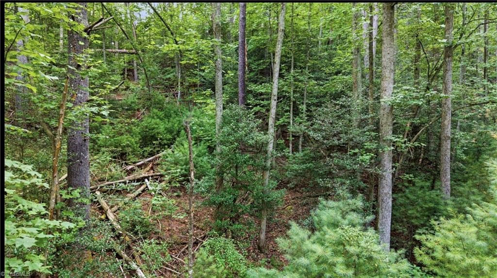 Stick/Site Built at 11526 US Highway 421, Purlear NC 28665, Purlear, photo 40 of 45