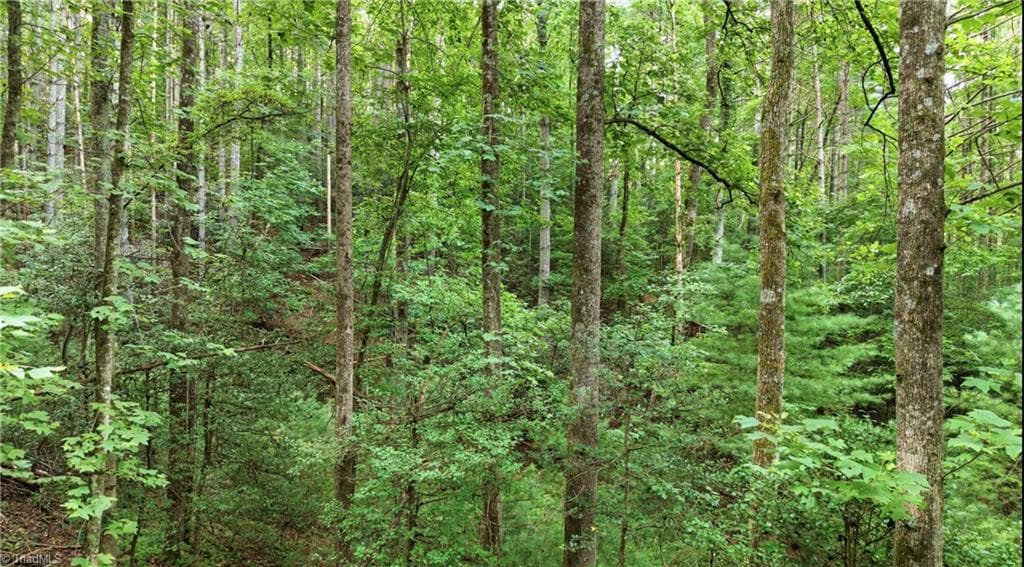 Stick/Site Built at 11526 US Highway 421, Purlear NC 28665, Purlear, photo 39 of 45