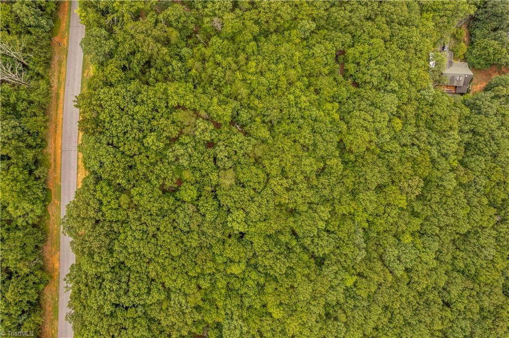 Unimproved Land at 2261 Sierra Trace Road, Denton NC 27239, Denton, photo 4 of 24