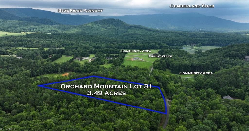 TBD Mcintosh Drive, Lowgap NC 27024