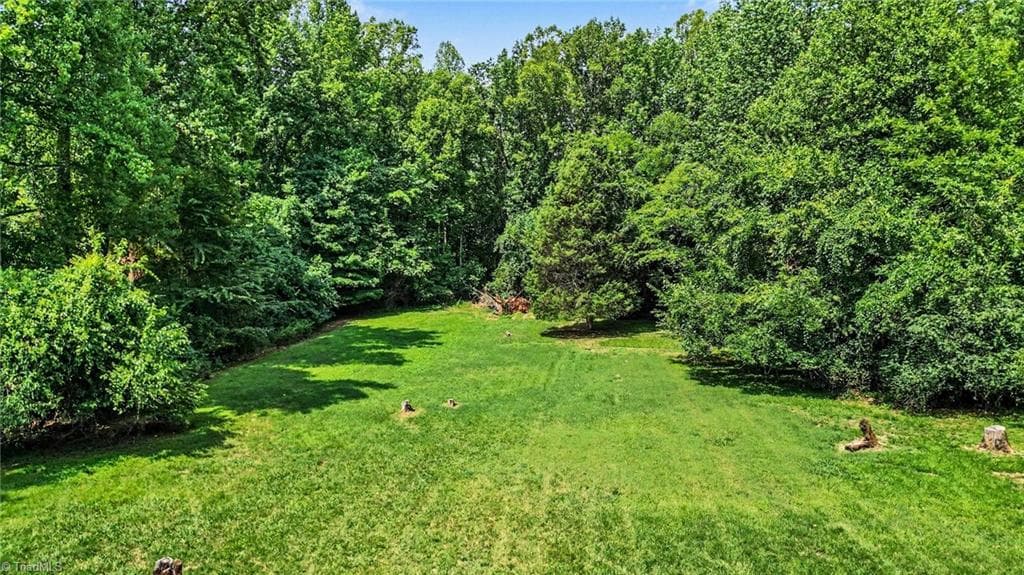 Unimproved Land at 00 Amos Street, Reidsville NC 27320, Reidsville, photo 2 of 7