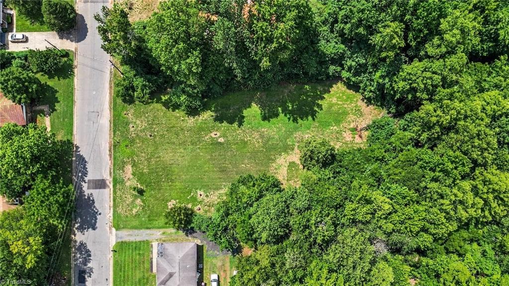Unimproved Land at 00 Amos Street, Reidsville NC 27320, Reidsville, photo 5 of 7