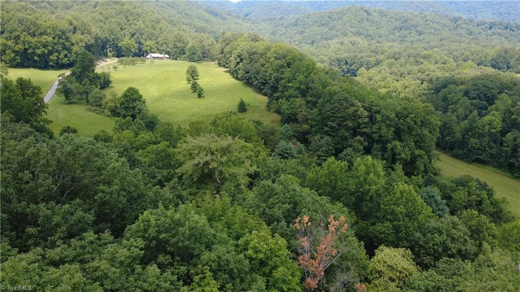 Single Family Residence at Lot 87 McIntosh Drive, Lowgap NC 27024, Lowgap, photo 11 of 28