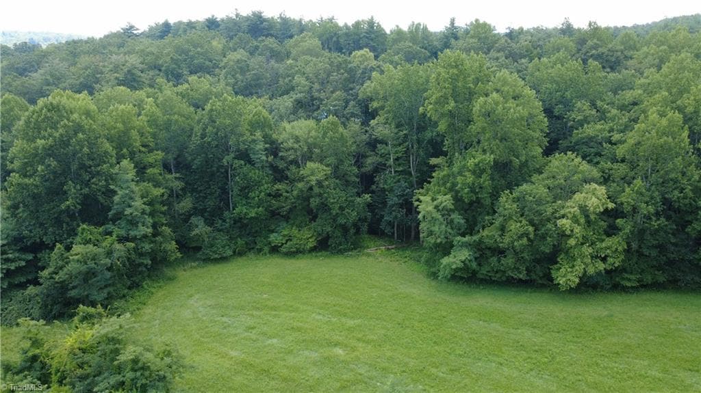 Single Family Residence at Lot 87 McIntosh Drive, Lowgap NC 27024, Lowgap, photo 13 of 28