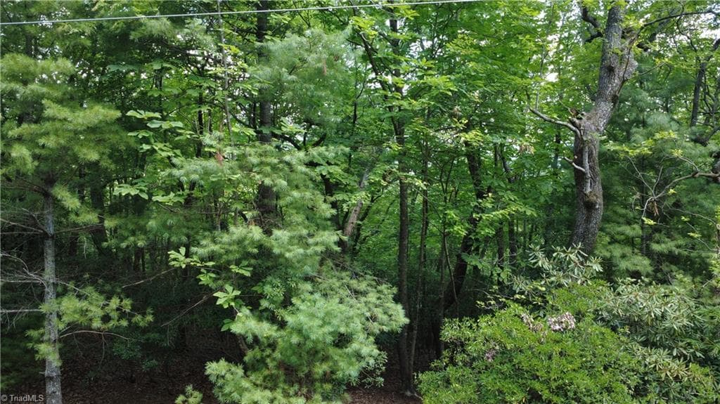 Single Family Residence at Lot 87 McIntosh Drive, Lowgap NC 27024, Lowgap, photo 7 of 28