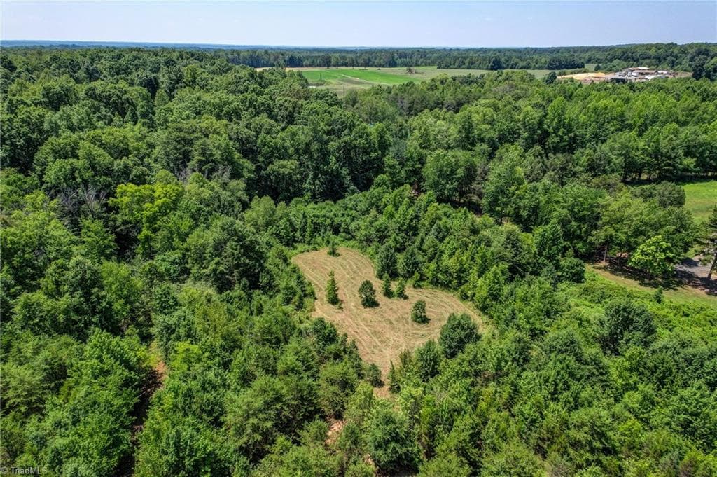 Unimproved Land at 0000 Nc Highway 135, Stoneville NC 27048, photo 7 of 10