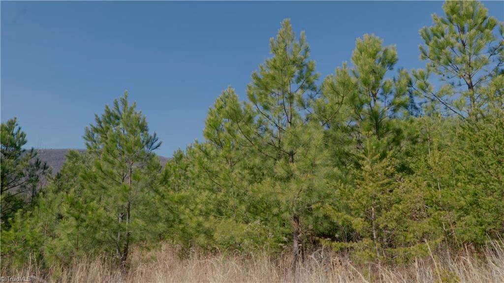 Unimproved Land at 337 Goat House Road, Lambsburg VA 24351, Lambsburg, photo 12 of 47