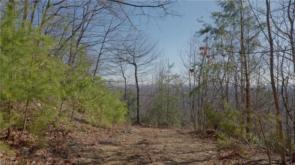 Unimproved Land at 337 Goat House Road, Lambsburg VA 24351, Lambsburg, photo 22 of 47