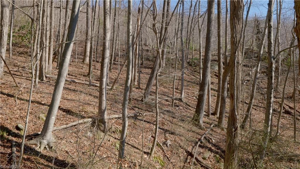 Unimproved Land at 337 Goat House Road, Lambsburg VA 24351, Lambsburg, photo 32 of 47